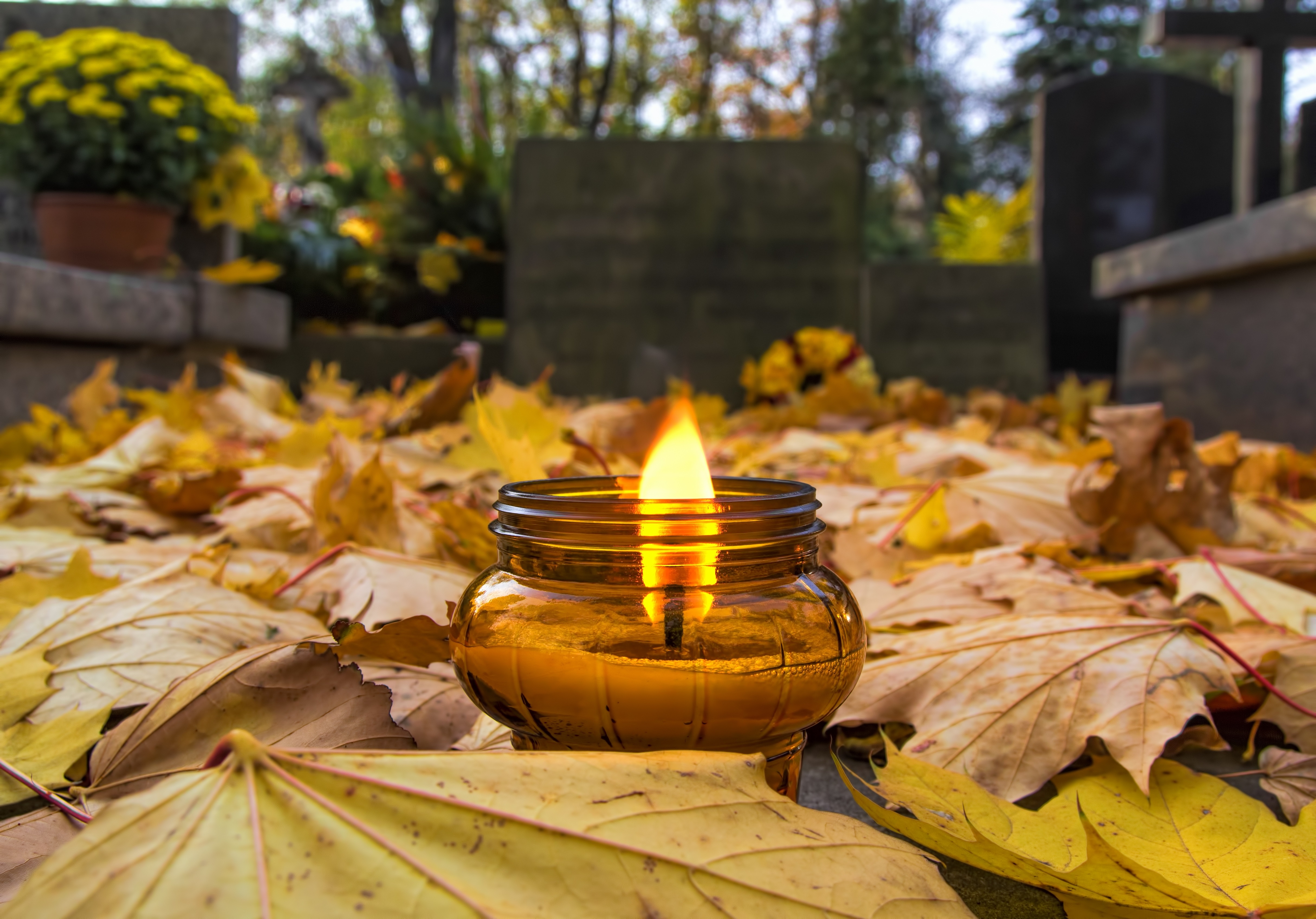 dzień Wszystkich Świętych