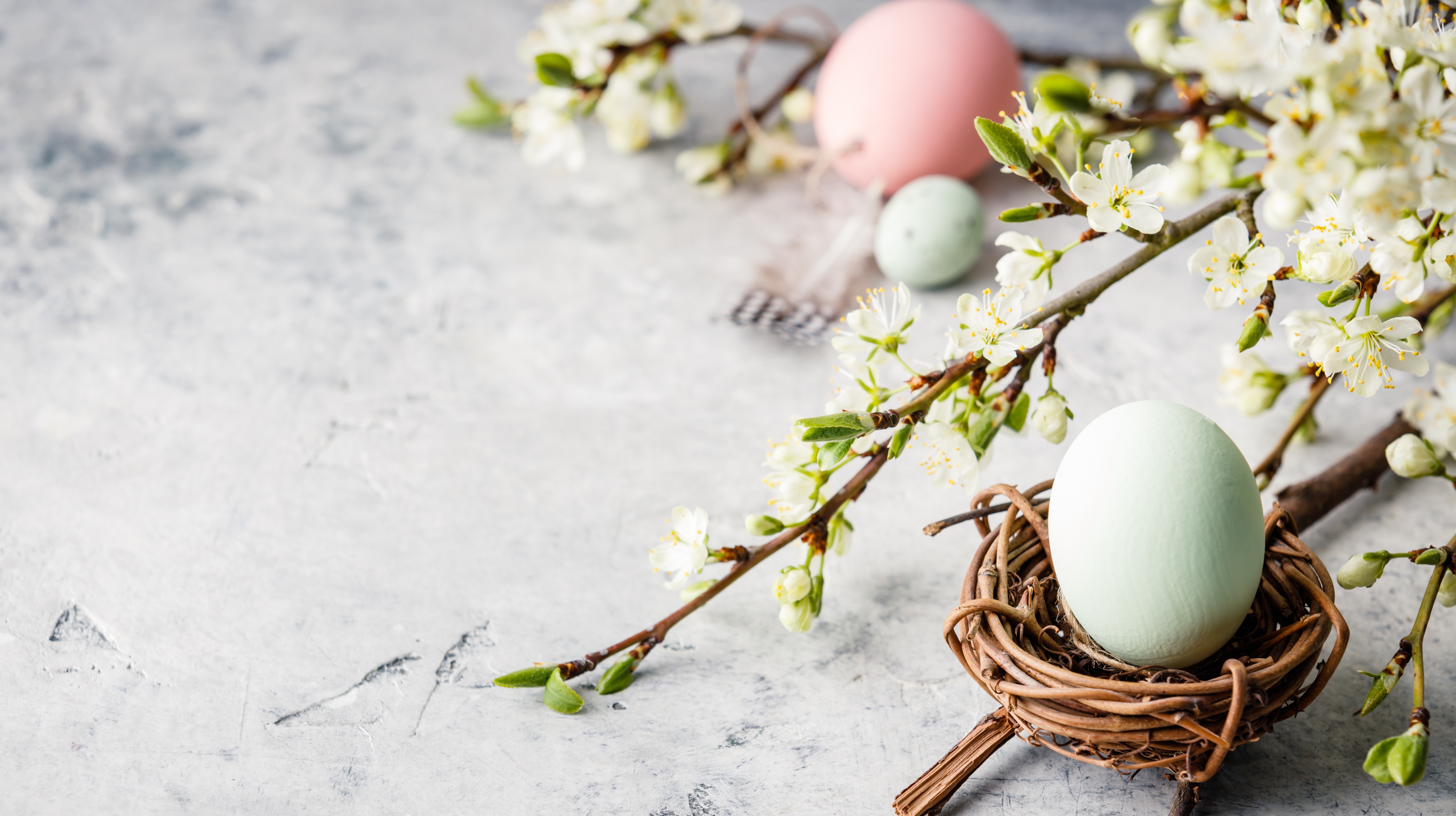 Easter composition on grey concrete backgrount