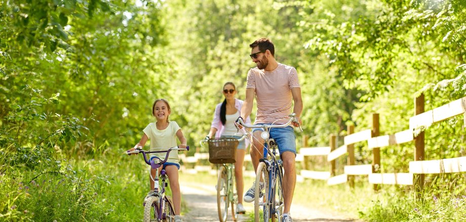 happy family riding bicycles in summer park