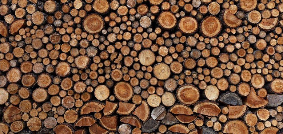 Stack of piled up fire wood