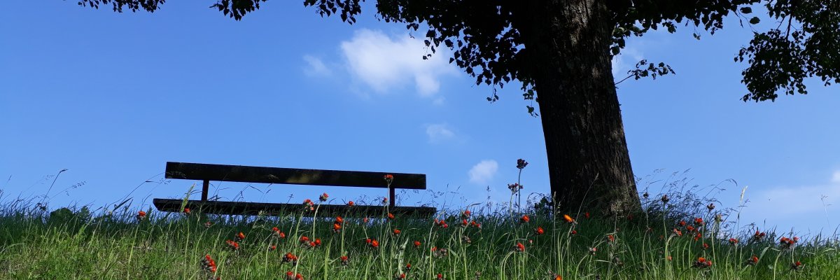 Rathaus Ausschnitt.jpg